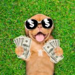 Leesburg’s Dog Money