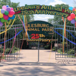 Groundbreaking Celebration for Veterans Park at Balls Bluff