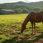 New Development Milestone at Banning Ranch in Leesburg