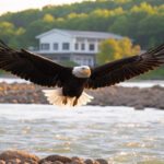 Local Author Bruce Holsinger’s Book Soars with Oprah’s Endorsement